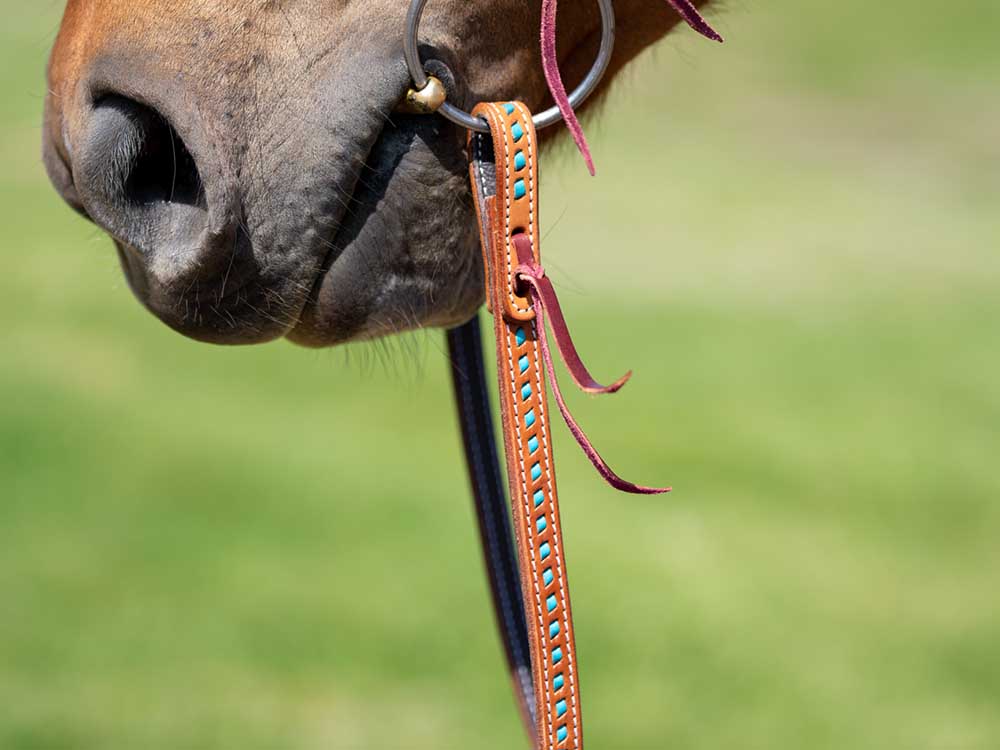 Western Laced Split Reins