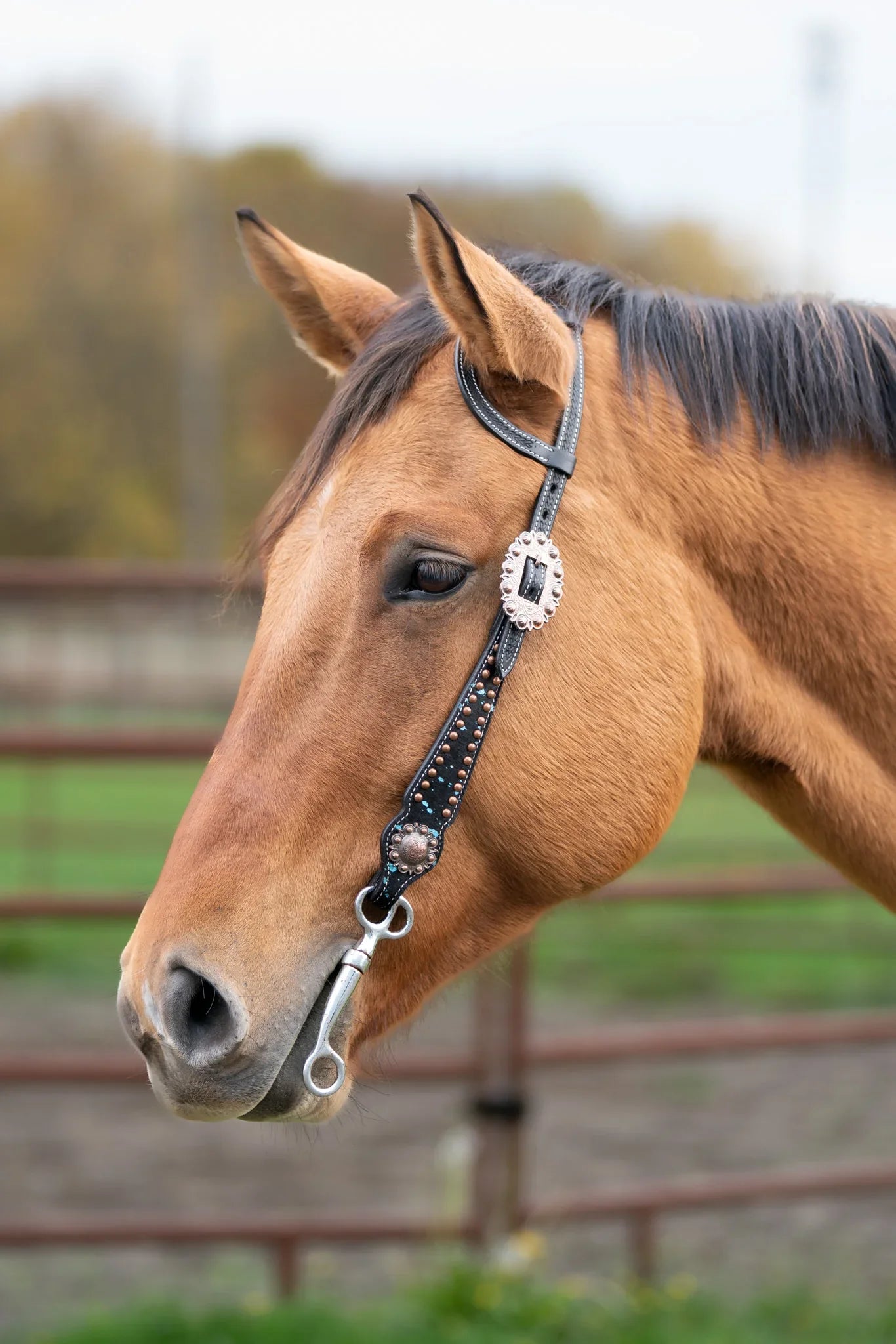 Ruston One Ear Western Headstall