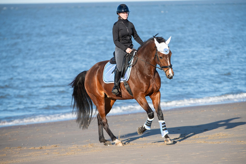 Azurine Browband
