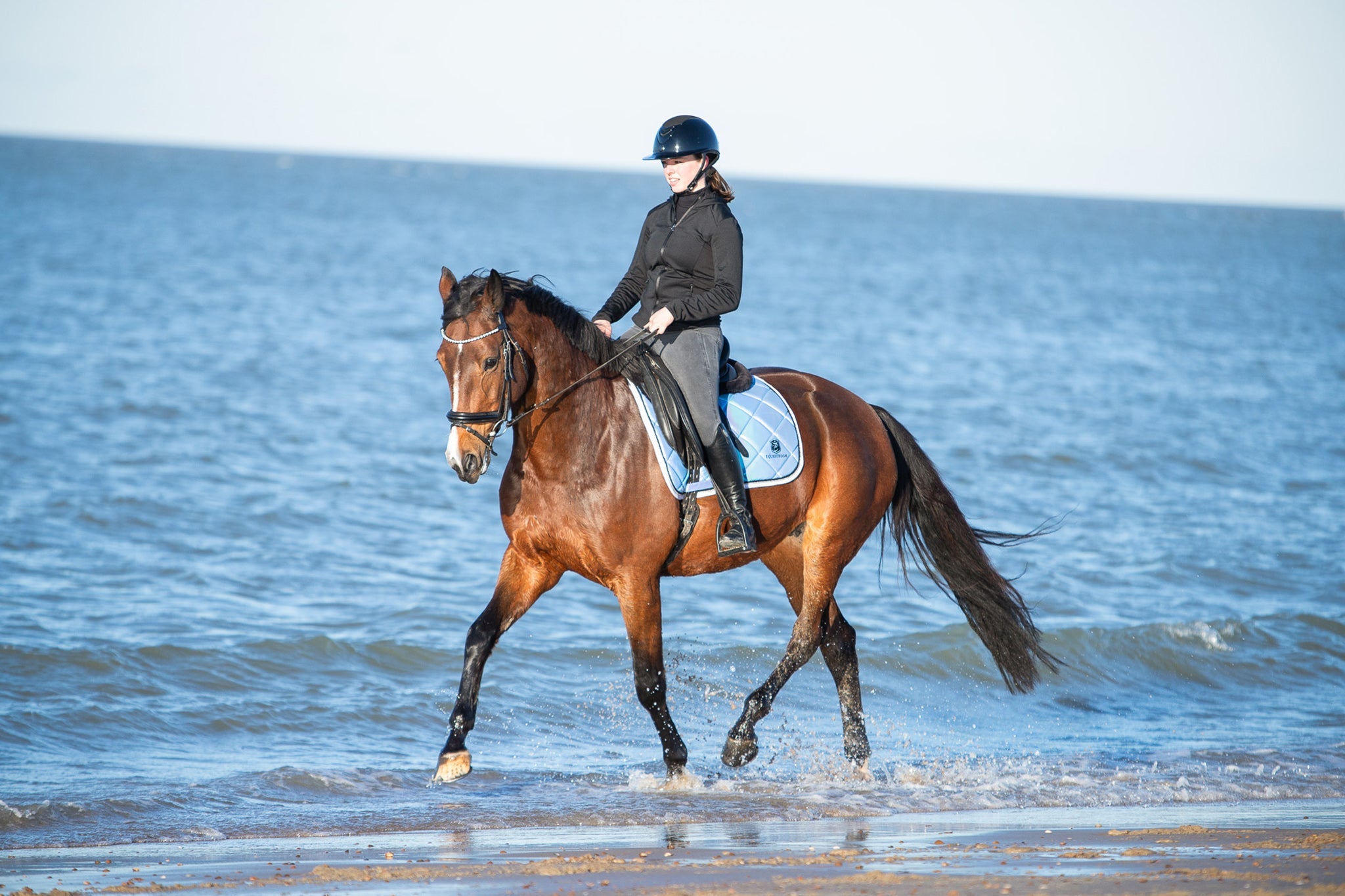 Azurine Browband