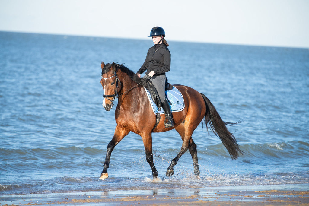 Azurine Saddle Pad