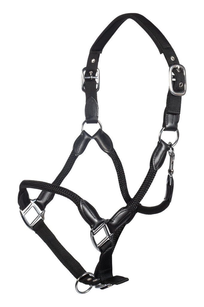 HKM Carlotta Halter