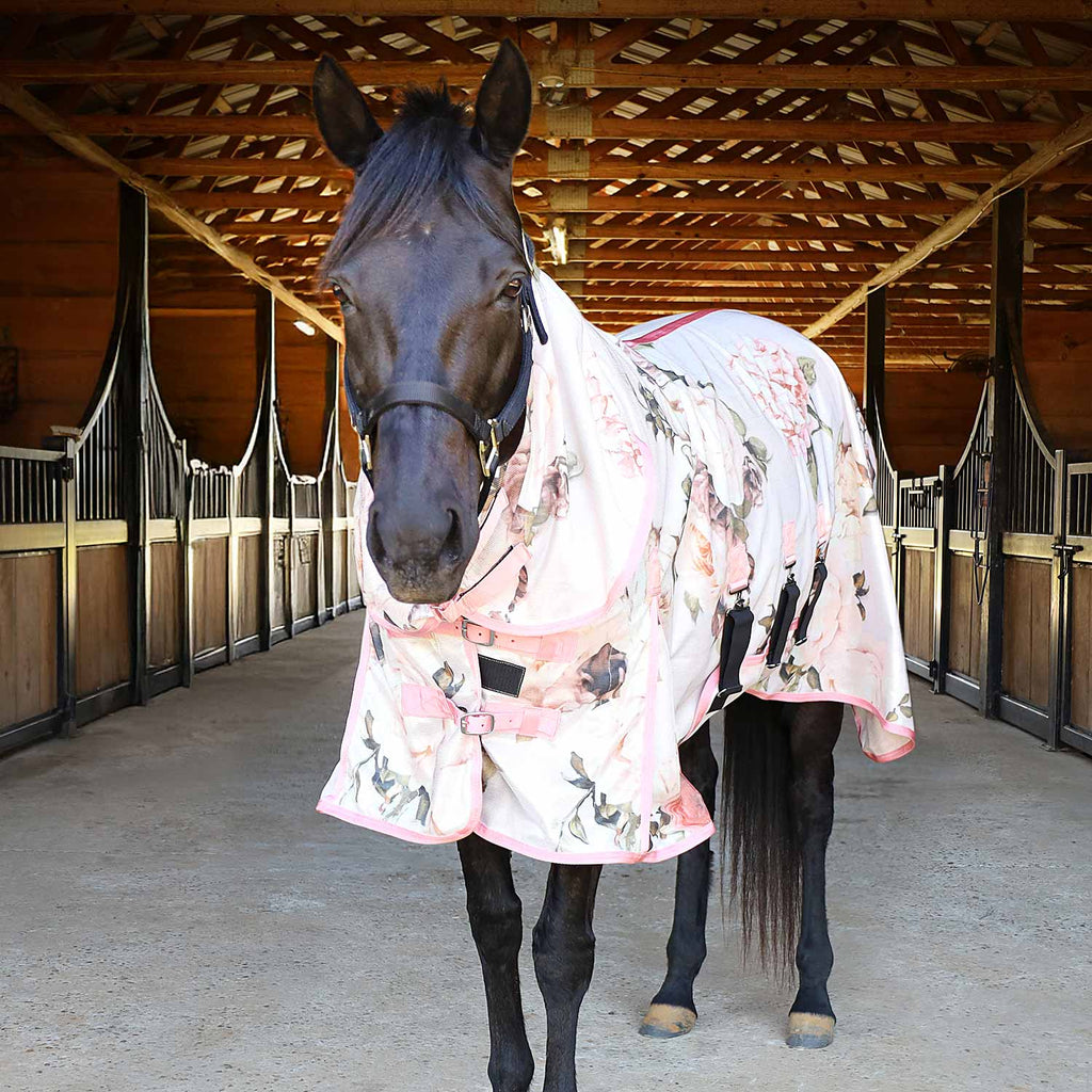 Jeffers Expression Softmesh Combo Neck Horse Fly Sheet