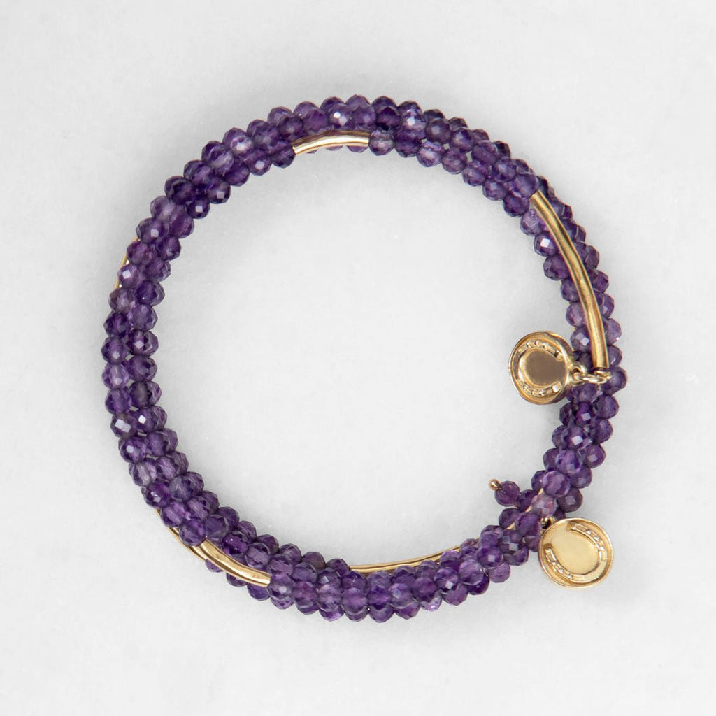Prism - Amethyst Horseshoe Coin Equestrian Bracelet